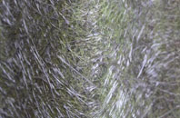 Uppermill fibreglass roof work